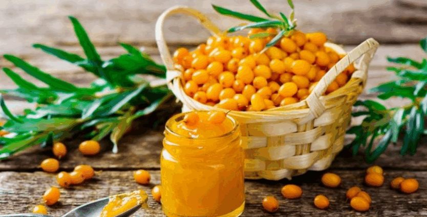 🍊 Обліпиха на зиму: як зберегти вітаміни та зміцнити імунітет